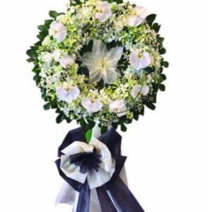 Ke-hoa-chia-buon-tro-ve-coi-nguon-dienhoaonline-270221