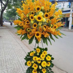 ke-hoa-chuc-mung-ngay-ruc-ro-01-130321