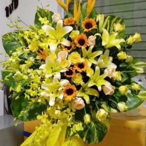 ke-hoa-chuc-mung-ngay-ruc-ro-280221