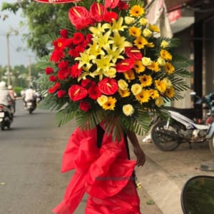 ke-hoa-khai-truong-hong-phat-01-130321