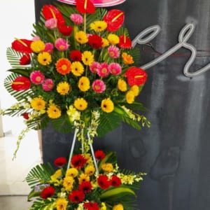 ke-hoa-khai-truong-phat-tai-120321